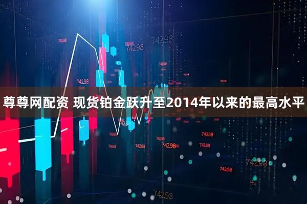 尊尊网配资 现货铂金跃升至2014年以来的最高水平