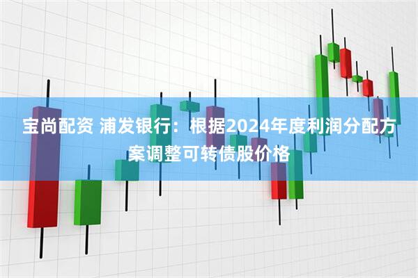 宝尚配资 浦发银行：根据2024年度利润分配方案调整可转债股价格