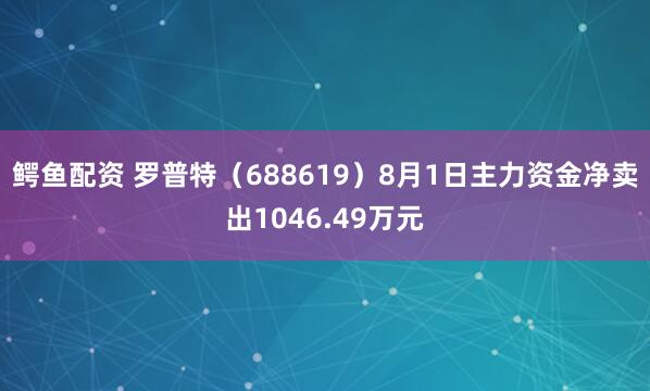 鳄鱼配资 罗普特（688619）8月1日主力资金净卖出1046.49万元