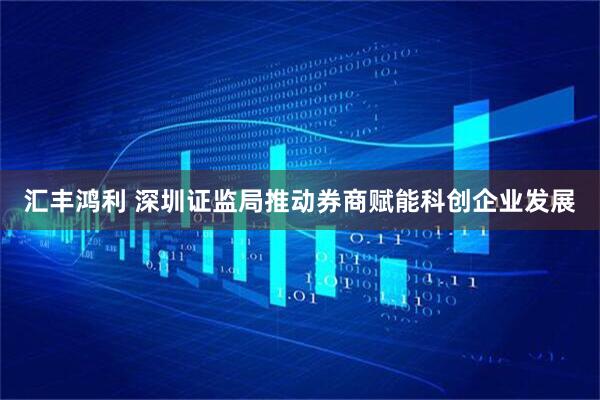 汇丰鸿利 深圳证监局推动券商赋能科创企业发展
