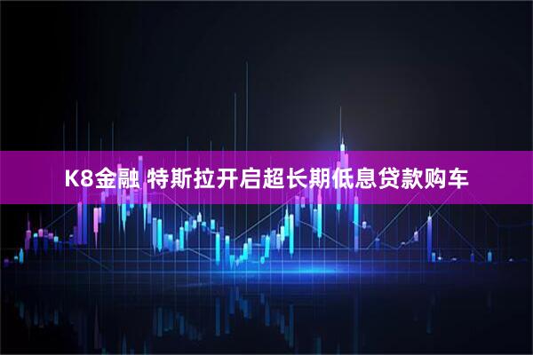 K8金融 特斯拉开启超长期低息贷款购车